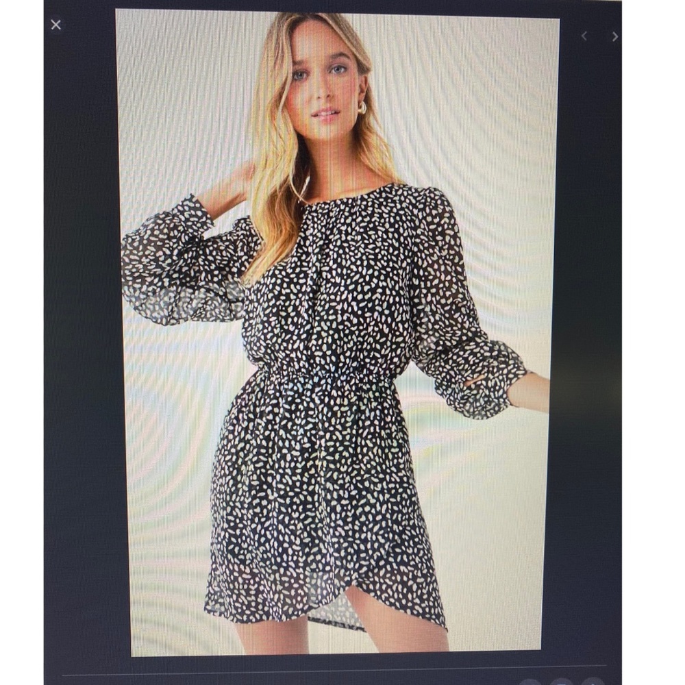 Long Sleeved Dress